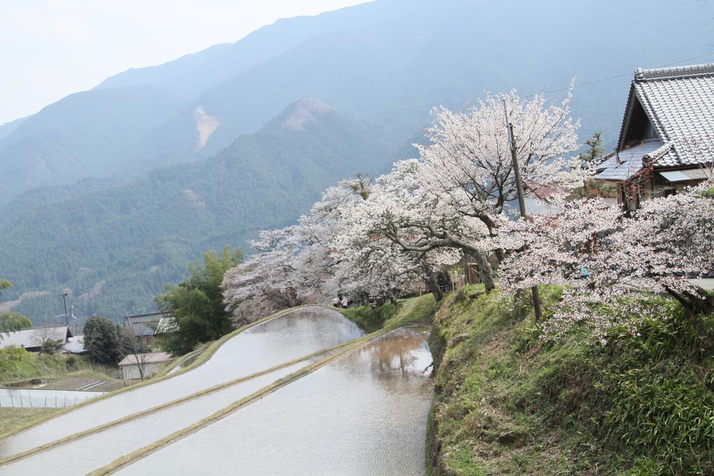 Miyako City Tsu Exterior photo